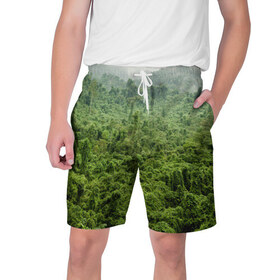 Мужские шорты 3D с принтом Потрясающие тропики в Курске,  полиэстер 100% | прямой крой, два кармана без застежек по бокам. Мягкая трикотажная резинка на поясе, внутри которой широкие завязки. Длина чуть выше колен | деревья | джунгли | зелень | красиво | лес | пейзаж | фото