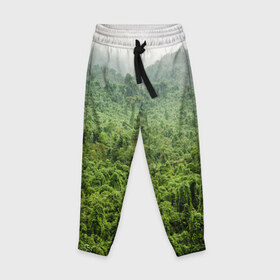 Детские брюки 3D с принтом Потрясающие тропики в Курске, 100% полиэстер | манжеты по низу, эластичный пояс регулируется шнурком, по бокам два кармана без застежек, внутренняя часть кармана из мелкой сетки | деревья | джунгли | зелень | красиво | лес | пейзаж | фото