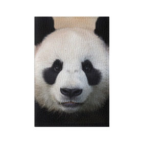 Обложка для паспорта матовая кожа с принтом Милая панда в Курске, натуральная матовая кожа | размер 19,3 х 13,7 см; прозрачные пластиковые крепления | Тематика изображения на принте: animal | hunny | panda | животные | классная | милая | милота | панда | фото | хорошая
