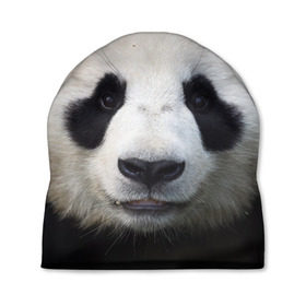 Шапка 3D с принтом Милая панда в Курске, 100% полиэстер | универсальный размер, печать по всей поверхности изделия | animal | hunny | panda | животные | классная | милая | милота | панда | фото | хорошая