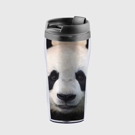Термокружка-непроливайка с принтом Милая панда в Курске, внутренняя часть — пищевой пластик, наружная часть — прозрачный пластик, между ними — полиграфическая вставка с рисунком | объем — 350 мл, герметичная крышка | Тематика изображения на принте: animal | hunny | panda | животные | классная | милая | милота | панда | фото | хорошая
