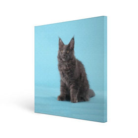 Холст квадратный с принтом Кот мейн кун в Курске, 100% ПВХ |  | котенок | мейнкун