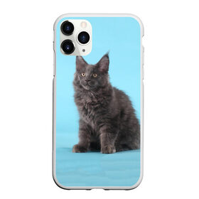 Чехол для iPhone 11 Pro Max матовый с принтом Кот мейн кун в Курске, Силикон |  | котенок | мейнкун