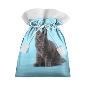 Подарочный 3D мешок с принтом Кот мейн кун в Курске, 100% полиэстер | Размер: 29*39 см | котенок | мейнкун