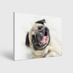 Холст прямоугольный с принтом Смешная собачка в Курске, 100% ПВХ |  | Тематика изображения на принте: прикол | смешная | смешно | собака | язык