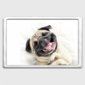 Магнит 45*70 с принтом Смешная собачка в Курске, Пластик | Размер: 78*52 мм; Размер печати: 70*45 | Тематика изображения на принте: прикол | смешная | смешно | собака | язык