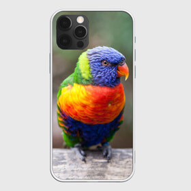 Чехол для iPhone 12 Pro Max с принтом Попугай в Курске, Силикон |  | пернатые | попугай | прикольные картинки | природа | птица