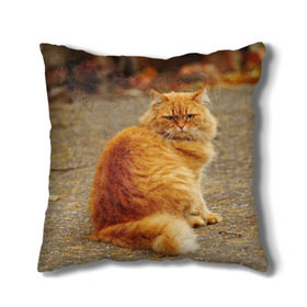 Подушка 3D с принтом Рыжий кот в Курске, наволочка – 100% полиэстер, наполнитель – холлофайбер (легкий наполнитель, не вызывает аллергию). | состоит из подушки и наволочки. Наволочка на молнии, легко снимается для стирки | Тематика изображения на принте: коты | кошки