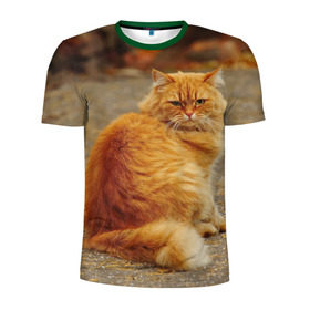 Мужская футболка 3D спортивная с принтом Рыжий кот в Курске, 100% полиэстер с улучшенными характеристиками | приталенный силуэт, круглая горловина, широкие плечи, сужается к линии бедра | коты | кошки