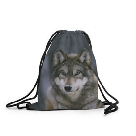 Рюкзак-мешок 3D с принтом Волк в лесу в Курске, 100% полиэстер | плотность ткани — 200 г/м2, размер — 35 х 45 см; лямки — толстые шнурки, застежка на шнуровке, без карманов и подкладки | 