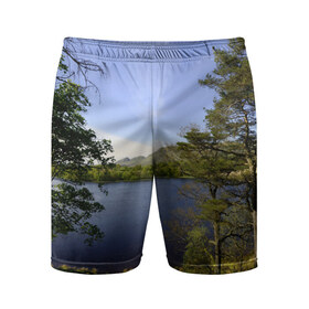 Мужские шорты 3D спортивные с принтом сосны в Курске,  |  | берег | горы | лес | море | озеро | океан | сосны | тайга