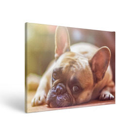Холст прямоугольный с принтом французский бульдог в Курске, 100% ПВХ |  | Тематика изображения на принте: dog | бульдог | друг | собака | язык