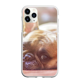 Чехол для iPhone 11 Pro матовый с принтом французский бульдог в Курске, Силикон |  | dog | бульдог | друг | собака | язык