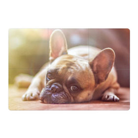 Магнитный плакат 3Х2 с принтом французский бульдог в Курске, Полимерный материал с магнитным слоем | 6 деталей размером 9*9 см | Тематика изображения на принте: dog | бульдог | друг | собака | язык
