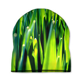 Шапка 3D с принтом Трава в Курске, 100% полиэстер | универсальный размер, печать по всей поверхности изделия | зелень | лето | природа | растения | солнце