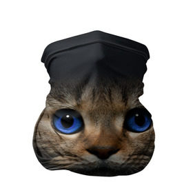 Бандана-труба 3D с принтом Кот с синими глазами в Курске, 100% полиэстер, ткань с особыми свойствами — Activecool | плотность 150‒180 г/м2; хорошо тянется, но сохраняет форму | кот | котенок | кошка | мордочка