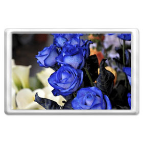 Магнит 45*70 с принтом Синие розы в Курске, Пластик | Размер: 78*52 мм; Размер печати: 70*45 | девушкам | розы | синие | цветы