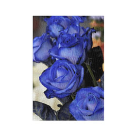 Обложка для паспорта матовая кожа с принтом Синие розы в Курске, натуральная матовая кожа | размер 19,3 х 13,7 см; прозрачные пластиковые крепления | девушкам | розы | синие | цветы