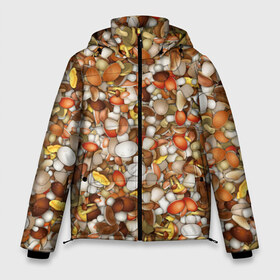 Мужская зимняя куртка 3D с принтом Грибы Много грибов в Курске, верх — 100% полиэстер; подкладка — 100% полиэстер; утеплитель — 100% полиэстер | длина ниже бедра, свободный силуэт Оверсайз. Есть воротник-стойка, отстегивающийся капюшон и ветрозащитная планка. 

Боковые карманы с листочкой на кнопках и внутренний карман на молнии. | Тематика изображения на принте: лес | охота
