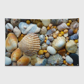 Флаг-баннер с принтом Морские ракушки и камни в Курске, 100% полиэстер | размер 67 х 109 см, плотность ткани — 95 г/м2; по краям флага есть четыре люверса для крепления | камни | море | морские камни | ракушки