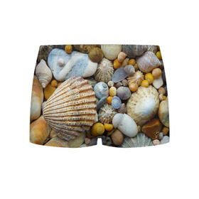 Мужские трусы 3D с принтом Морские ракушки и камни в Курске, 50% хлопок, 50% полиэстер | классическая посадка, на поясе мягкая тканевая резинка | камни | море | морские камни | ракушки