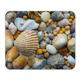 Коврик прямоугольный с принтом Морские ракушки и камни в Курске, натуральный каучук | размер 230 х 185 мм; запечатка лицевой стороны | камни | море | морские камни | ракушки