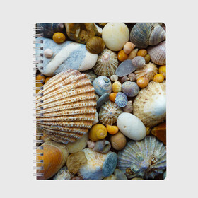 Тетрадь с принтом Морские ракушки и камни в Курске, 100% бумага | 48 листов, плотность листов — 60 г/м2, плотность картонной обложки — 250 г/м2. Листы скреплены сбоку удобной пружинной спиралью. Уголки страниц и обложки скругленные. Цвет линий — светло-серый
 | камни | море | морские камни | ракушки