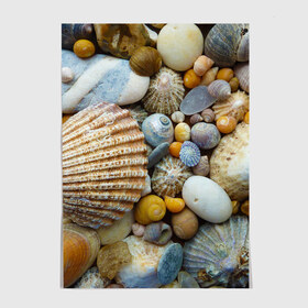 Постер с принтом Морские ракушки и камни в Курске, 100% бумага
 | бумага, плотность 150 мг. Матовая, но за счет высокого коэффициента гладкости имеет небольшой блеск и дает на свету блики, но в отличии от глянцевой бумаги не покрыта лаком | камни | море | морские камни | ракушки