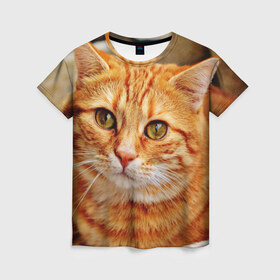 Женская футболка 3D с принтом кот в Курске, 100% полиэфир ( синтетическое хлопкоподобное полотно) | прямой крой, круглый вырез горловины, длина до линии бедер | cat | взгляд | глаза | киса | кот | котенок | котик