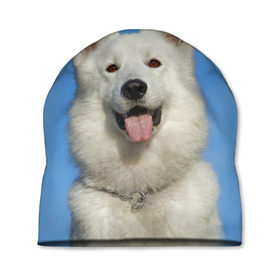 Шапка 3D с принтом белый пес в Курске, 100% полиэстер | универсальный размер, печать по всей поверхности изделия | dog | friend | взгляд | волк | друг | пес | собака | хаски