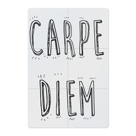 Магнитный плакат 2Х3 с принтом Carpe Diem в Курске, Полимерный материал с магнитным слоем | 6 деталей размером 9*9 см | carpe diem | действуй | живи настоящим | живи одним днем | карпэ диэм | лови день | лови момент | рискуй
