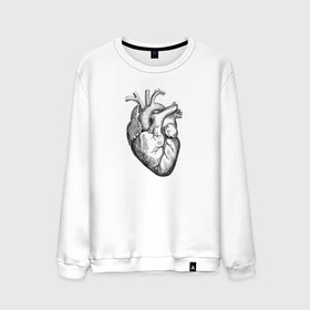 Мужской свитшот хлопок с принтом Heart в Курске, 100% хлопок |  | вектор | карандаш | кардиология | кровь | мышца | орган | пульс | рисунок | сердце | черный