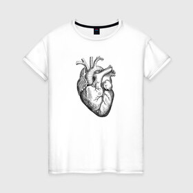 Женская футболка хлопок с принтом Heart в Курске, 100% хлопок | прямой крой, круглый вырез горловины, длина до линии бедер, слегка спущенное плечо | вектор | карандаш | кардиология | кровь | мышца | орган | пульс | рисунок | сердце | черный