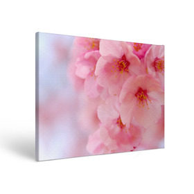 Холст прямоугольный с принтом Сакура в Курске, 100% ПВХ |  | Тематика изображения на принте: весна | вишня | розовый | цветение | цветы | япония