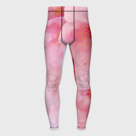Мужские тайтсы 3D с принтом Сакура в Курске,  |  | Тематика изображения на принте: весна | вишня | розовый | цветение | цветы | япония