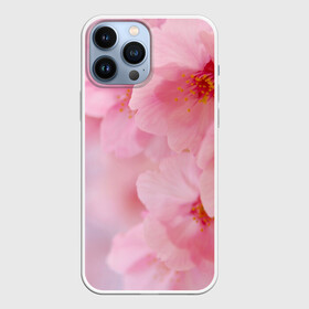 Чехол для iPhone 13 Pro Max с принтом Сакура в Курске,  |  | Тематика изображения на принте: весна | вишня | розовый | цветение | цветы | япония