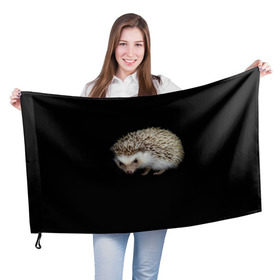 Флаг 3D с принтом Ежик 2 в Курске, 100% полиэстер | плотность ткани — 95 г/м2, размер — 67 х 109 см. Принт наносится с одной стороны | еж | ежик | животные
