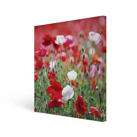 Холст квадратный с принтом Маки в Курске, 100% ПВХ |  | field | flowers | meadow | poppies | red | white | белые | красные | луг | маки | поле | полевые | цветы