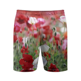 Мужские шорты 3D спортивные с принтом Маки в Курске,  |  | field | flowers | meadow | poppies | red | white | белые | красные | луг | маки | поле | полевые | цветы