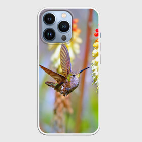 Чехол для iPhone 13 Pro с принтом Колибри в Курске,  |  | Тематика изображения на принте: лепесток | новая | природа | птичка | цветок | яркая