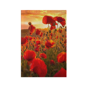 Обложка для паспорта матовая кожа с принтом Маки в Курске, натуральная матовая кожа | размер 19,3 х 13,7 см; прозрачные пластиковые крепления | field | flowers | meadow | nature | poppies | red | sky | summer | sun | sunset | wild | закат | красные | лето | луг | маки | небо | поле | полевые | природа | солнце | цветы