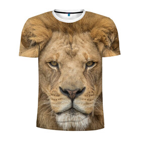 Мужская футболка 3D спортивная с принтом Лев в Курске, 100% полиэстер с улучшенными характеристиками | приталенный силуэт, круглая горловина, широкие плечи, сужается к линии бедра | грива | джунгли | животные | зверь | король | кровь | лев | охотник | хищник | царь