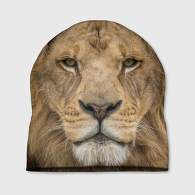 Шапка 3D с принтом Лев в Курске, 100% полиэстер | универсальный размер, печать по всей поверхности изделия | грива | джунгли | животные | зверь | король | кровь | лев | охотник | хищник | царь