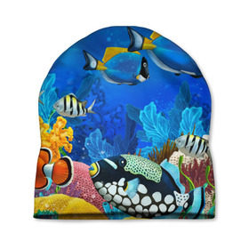 Шапка 3D с принтом Экзотические рыбки в Курске, 100% полиэстер | универсальный размер, печать по всей поверхности изделия | животые | красочные | морские | рыбки | цветные | экзотические
