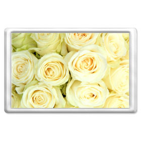 Магнит 45*70 с принтом Белые розы в Курске, Пластик | Размер: 78*52 мм; Размер печати: 70*45 | Тематика изображения на принте: лепестки | розы | цветы