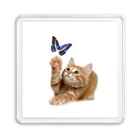 Магнит 55*55 с принтом Котенок и бабочка 2 в Курске, Пластик | Размер: 65*65 мм; Размер печати: 55*55 мм | бабочка | кот | котенок | кошка | мордочка