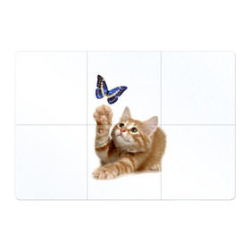 Магнитный плакат 3Х2 с принтом Котенок и бабочка 2 в Курске, Полимерный материал с магнитным слоем | 6 деталей размером 9*9 см | бабочка | кот | котенок | кошка | мордочка