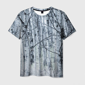 Мужская футболка 3D с принтом Русские берёзки в Курске, 100% полиэфир | прямой крой, круглый вырез горловины, длина до линии бедер | береза | красиво | лес | природа | русская | русские | фото