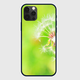 Чехол для iPhone 12 Pro Max с принтом Одуванчик в Курске, Силикон |  | Тематика изображения на принте: лепесток | новая | одуванчик | природа | цветок | яркая