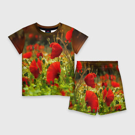 Детский костюм с шортами 3D с принтом Маки в Курске,  |  | field | flowers | meadow | nature | poppies | poppy | red | summer | wild | красные | лето | луг | мак | маки | поле | полевые | природа | цветы